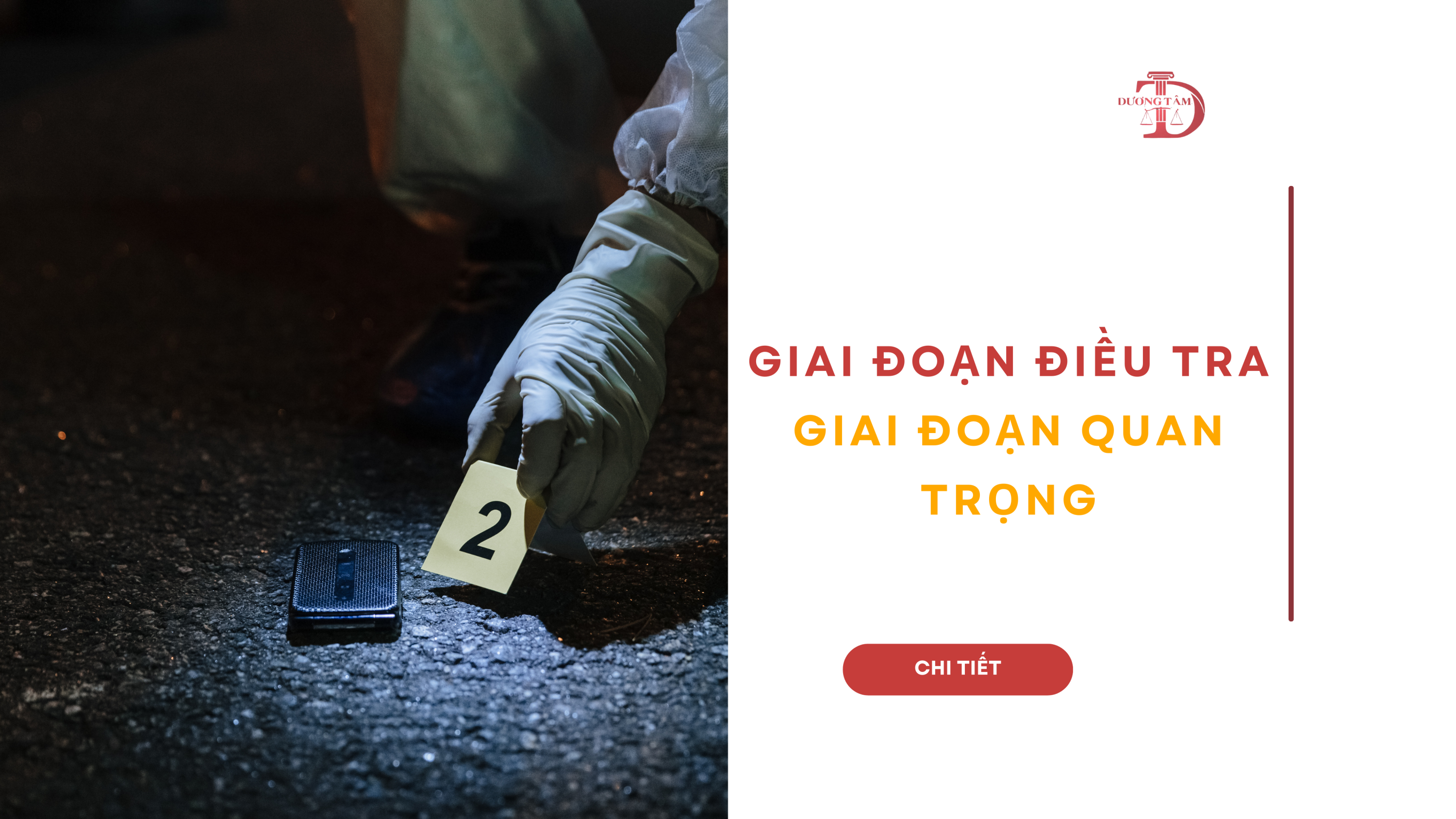Luật sư Dương Tâm